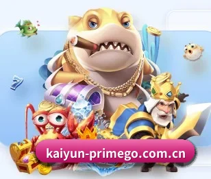 开云官网入口的故事