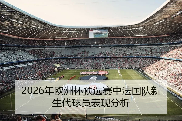2026年欧洲杯预选赛中法国队新生代球员表现分析