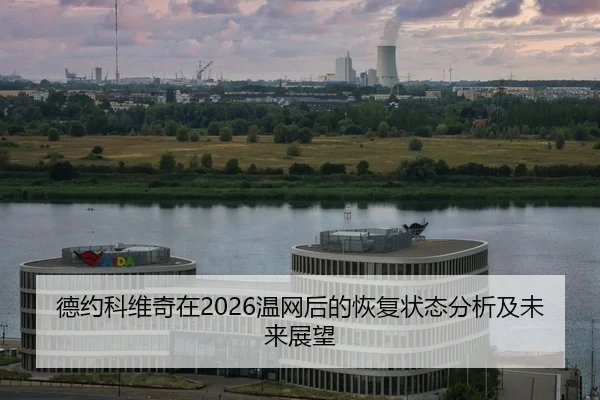 de-yue-ke-wei-qi-zai-wen-wang-hou-de-hui-fu-zhuang-tai-fen-xi-ji-wei-lai-zhan-wang-2-302.jpg