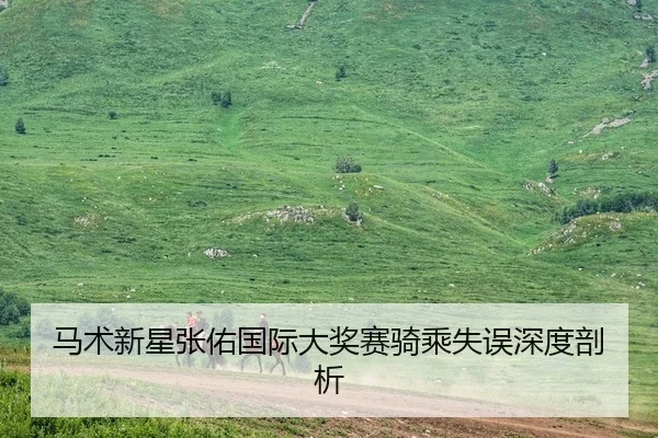 马术新星张佑国际大奖赛骑乘失误深度剖析